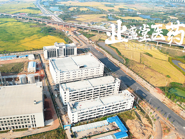 业盛堂医药产业园按下“冲刺键”，跑出“加